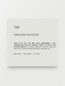 T08 – Endless Success
