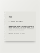 R03 – Fear Success