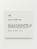 T06 – Sales Overflow