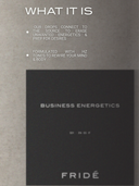 S01 – Business Energetics